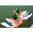 thumbnail image 4 of DOLITY Leurre de Jardin Flottant en Résine Créative, 4 of 9