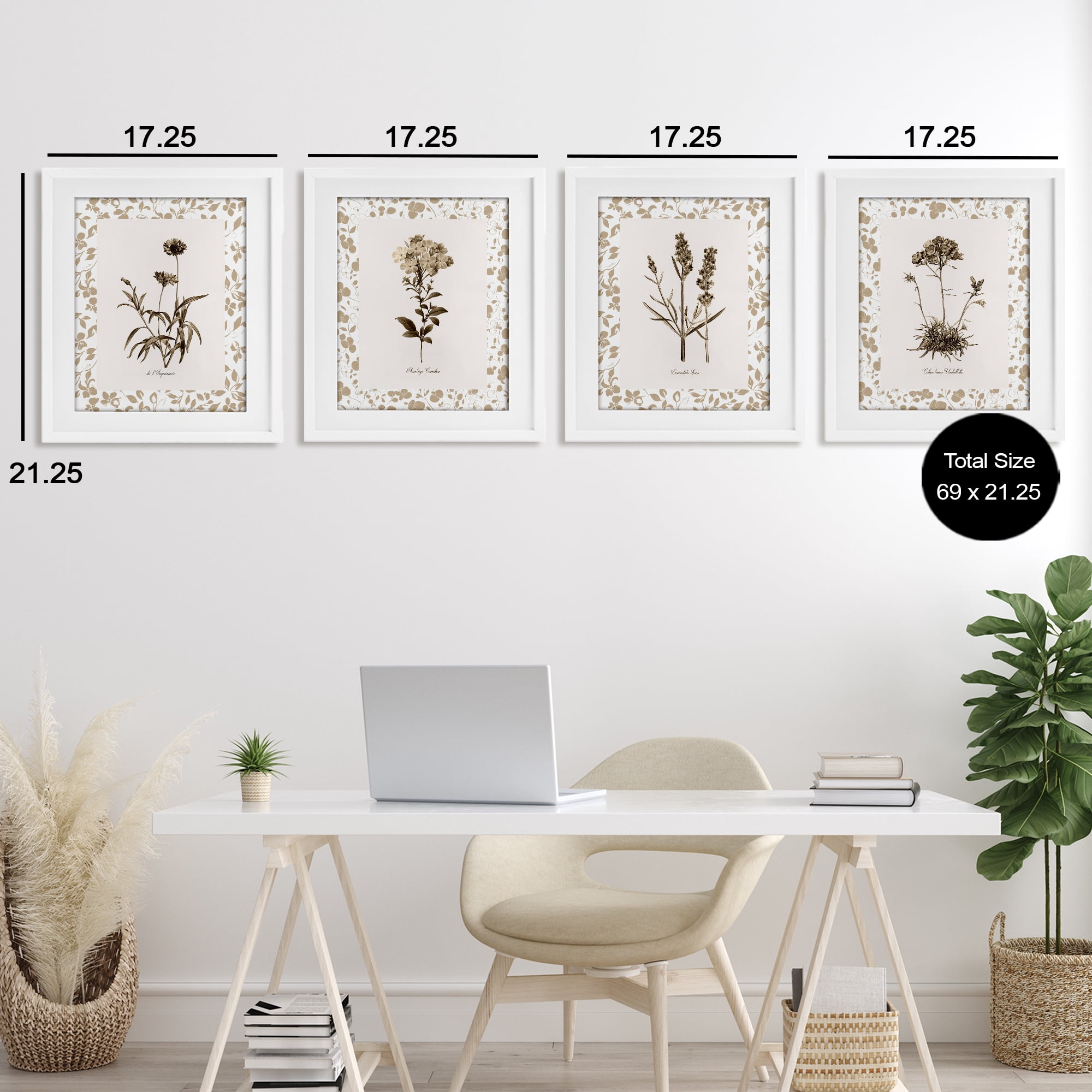 Stupell Industries Neutral Imperial Flower Studies 4 Piece White Framed Print Under Glass Set, design by Kelly Donovan