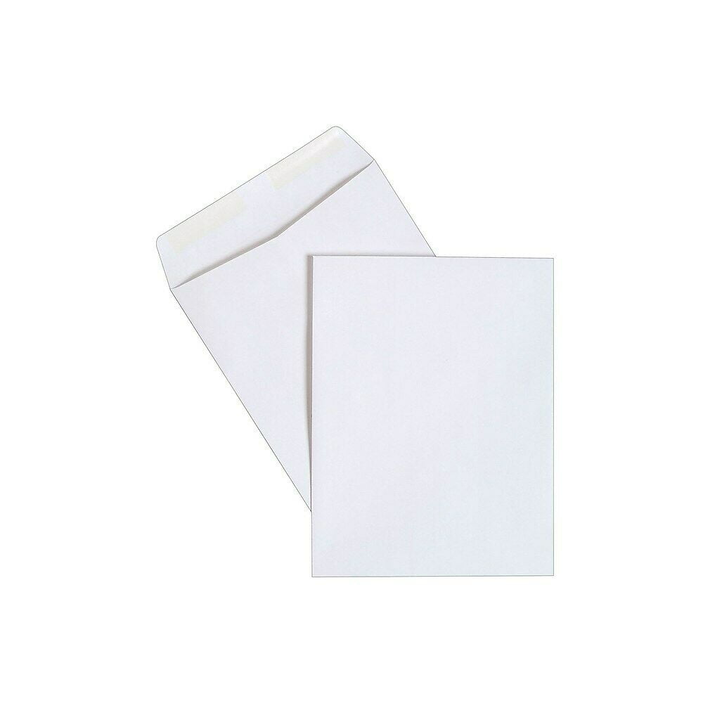 Staples Gummed Catalog Envelopes 10"L x 13"H White 250/Box (486954/