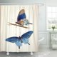 thumbnail image 1 of Cortina de Ducha ABPHQTO Mariposa Vintage Azul 160x180 cm, 1 of 1