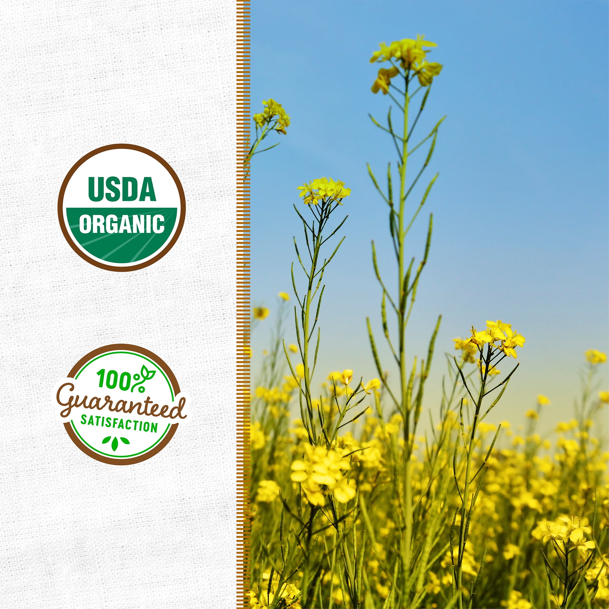 Back to the Roots Organic Yellow Mustard Cover Crop Seeds
