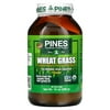Wheat Grass Powder, 10 oz (280 g), Pines International