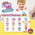 thumbnail image 4 of Little Live Pets NeeDees Splashee Otter Version 2, 4 of 5