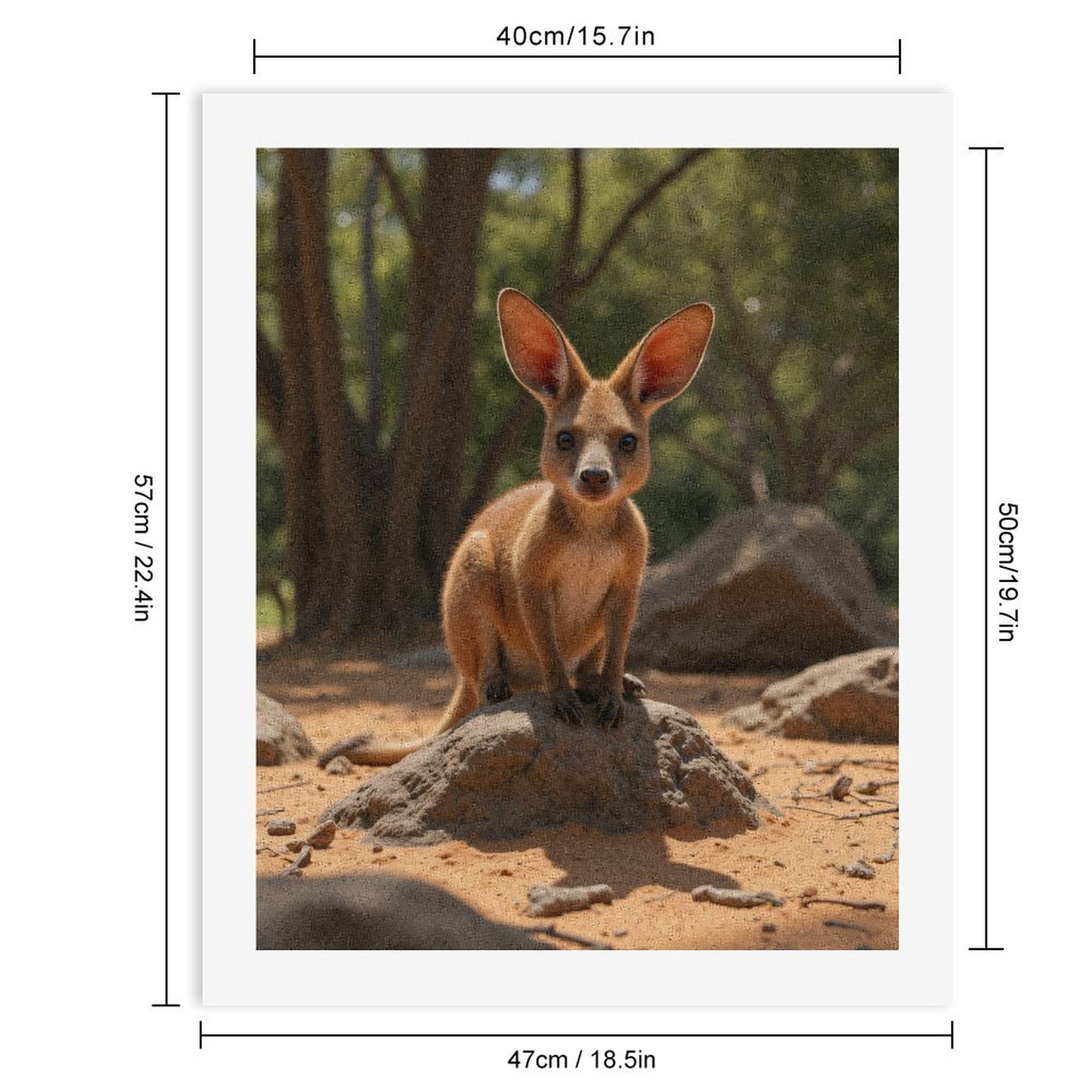 Paint by Numbers Kit for Adults, Kangaroo Bunny Mix Nature Rocks Paint by Numbers, Easy Paint by Numbers Kit for Adults Beginner, DIY Adult Paint by Number Kits on Canvas, Home Decor