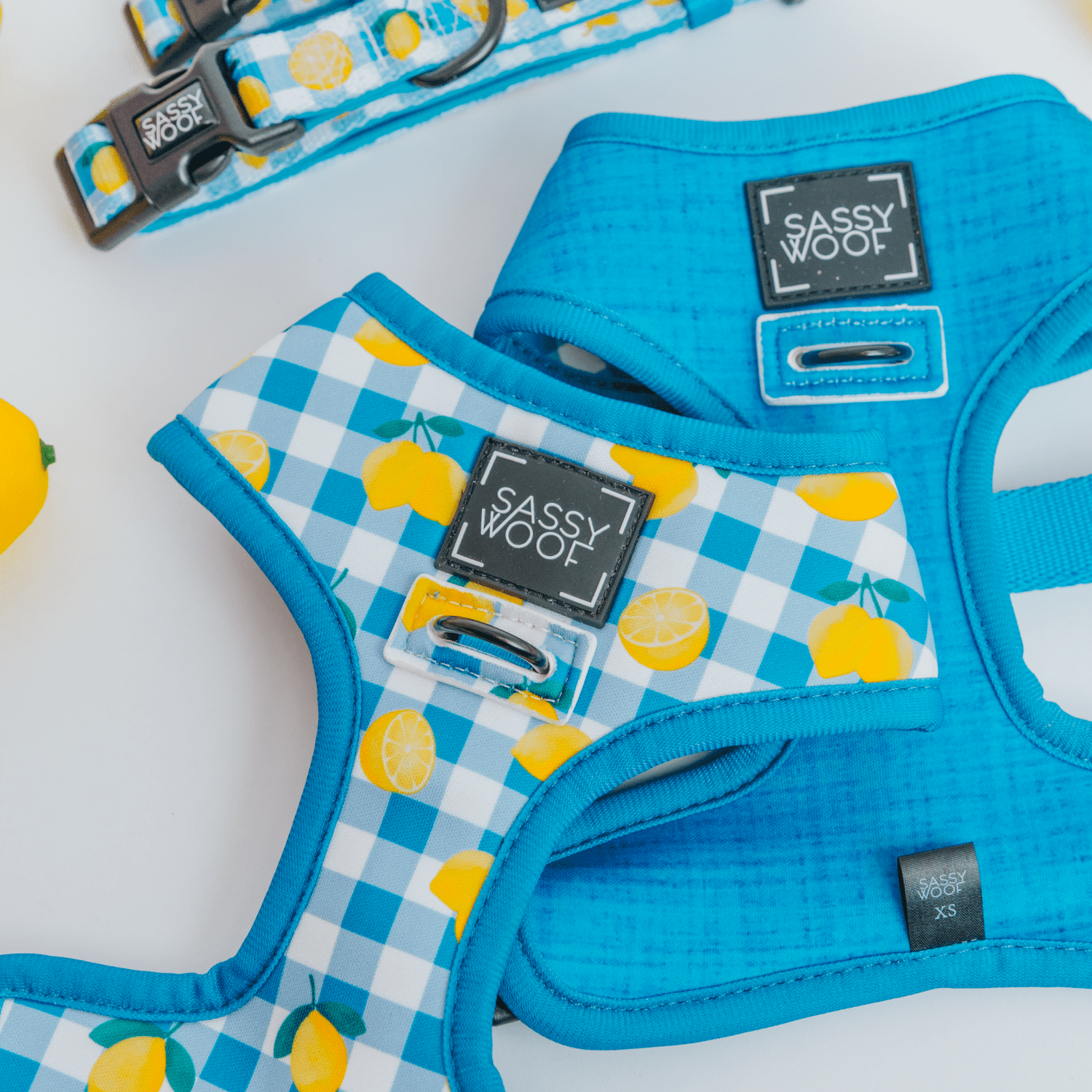Sassy Woof Comfort Dual-Clip Reversible Dog Harness - Lemonade Stand, Extra Small