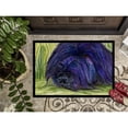 thumbnail image 3 of Carolines Treasures SS8520MAT Briard Doormat 18x27 27"L x 18"W multicolor, 3 of 4