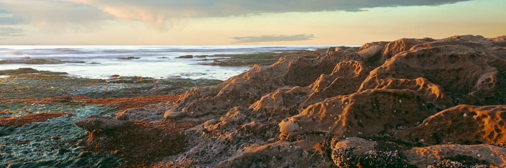 Low Tide At Coast D