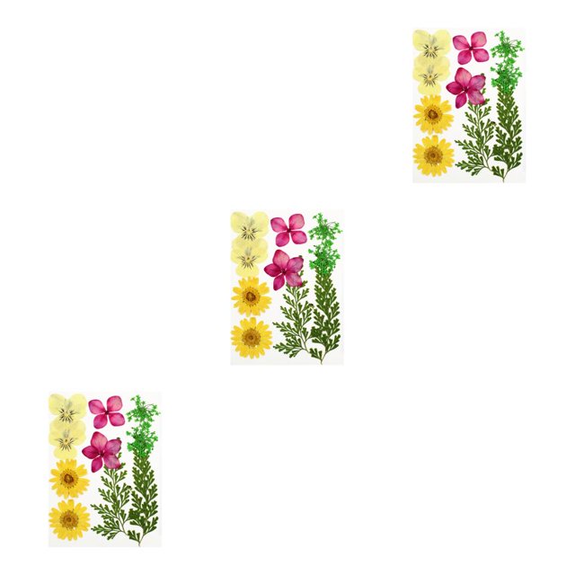 Conjunto de flores secas sweethay fotografía DIY calcomanía de flores reales