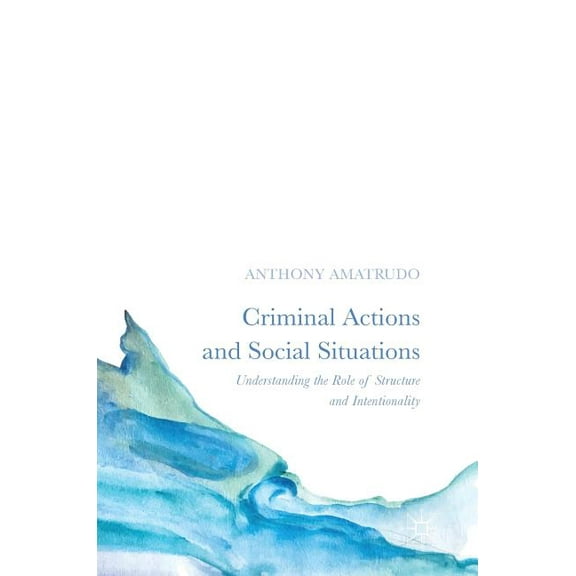 Criminal Actions and Social Situations: Understanding the Role of Structure and Intentionality, (Hardcover)
