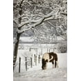 thumbnail image 2 of Deiter, Lori 23x32 White Modern Wood Framed Museum Art Print Titled - Paint in the Snow, 2 of 4