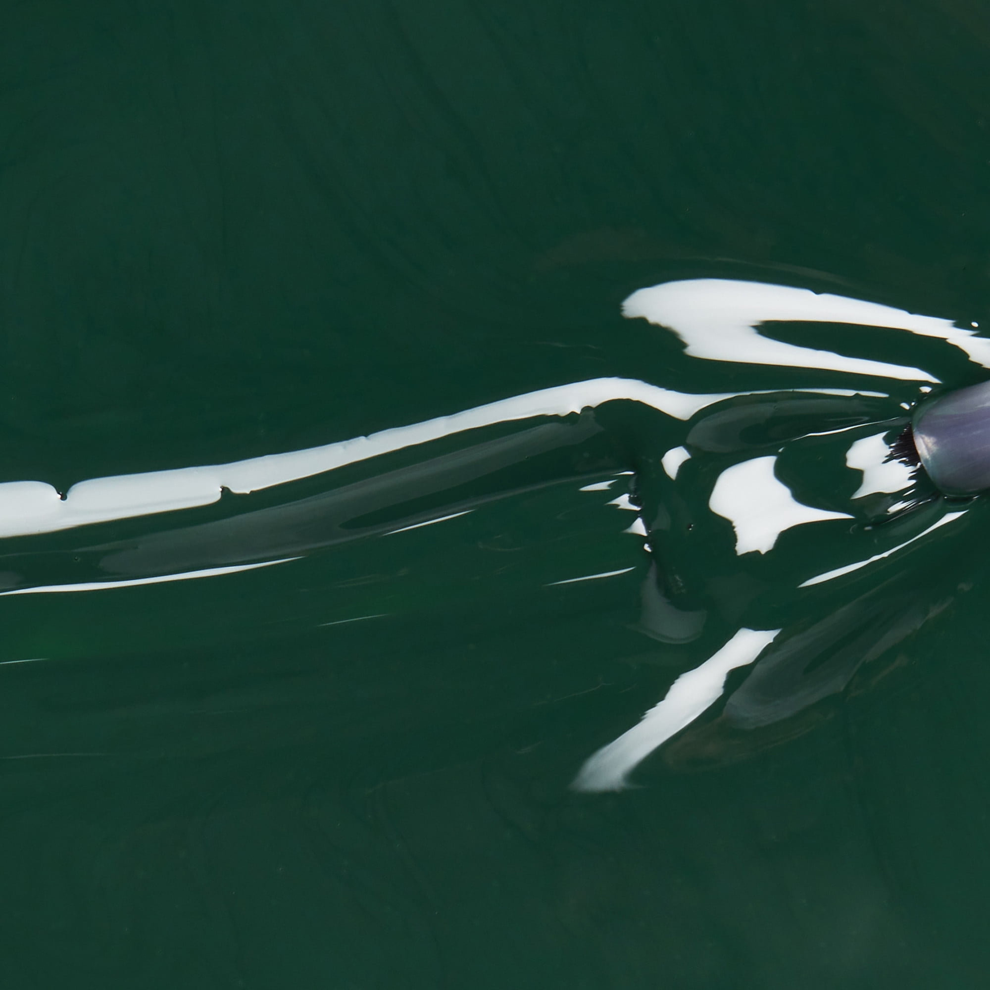 China Glaze Midnight Pine