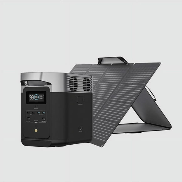 Combo Solar Delta 2 Ecoflow Panel Solar 220 W