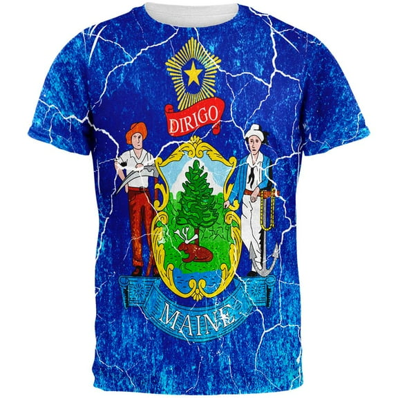 Maine Vintage Distressed State Flag All Over Mens T Shirt Multi 2XL