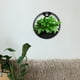 thumbnail image 2 of Soporte para plantas de pared Maceta de pared Soporte para macetas montado en la pared Maceta colgante, 2 of 5