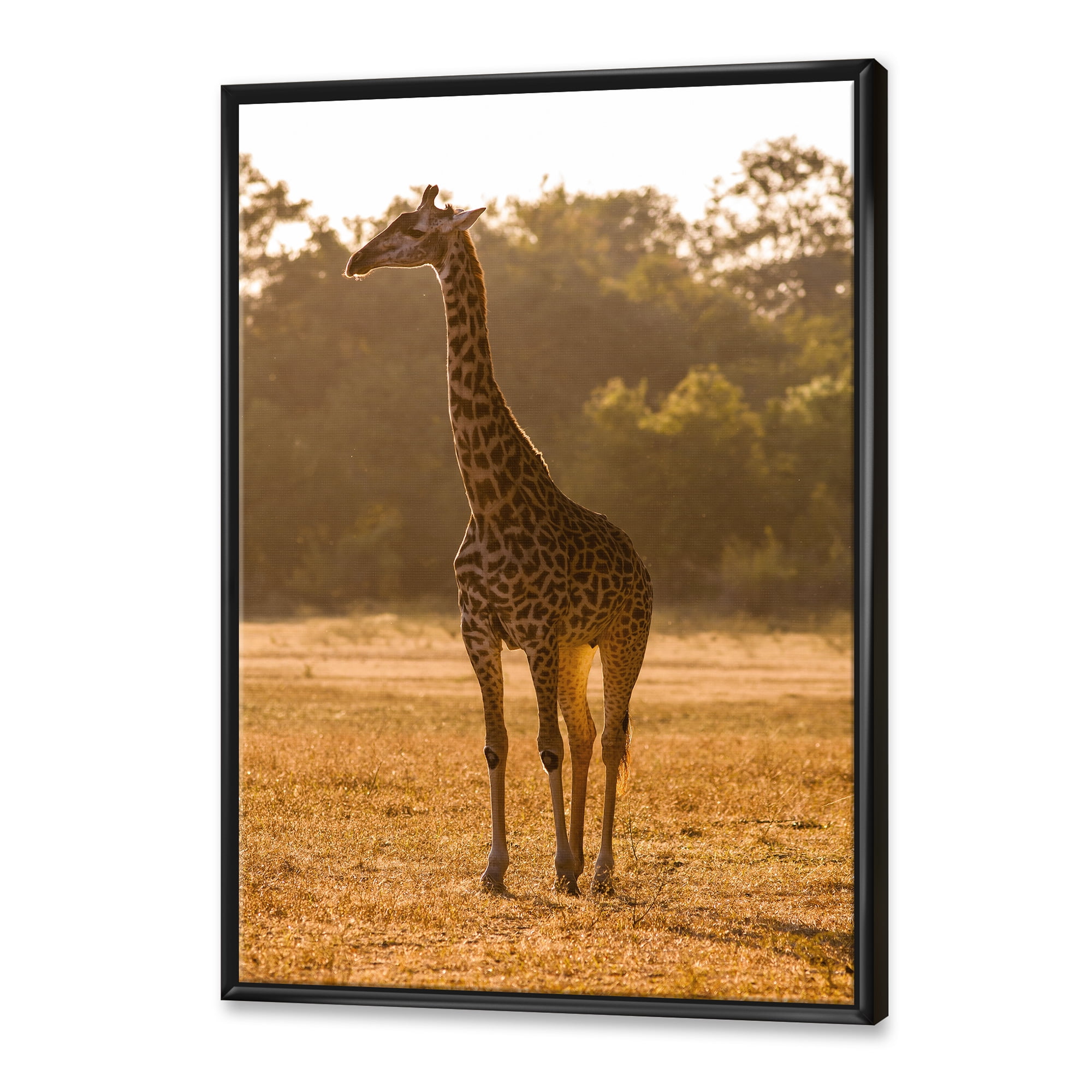 Designart 'African Giraffe In The Wildlife II' Farmhouse Framed Canvas Wall Art Print