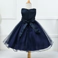 thumbnail image 4 of Girls Flower Mesh Puffy Dress Holiday Performance Lace Dress Princess Dress, 4 of 6