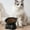 A4132 christmas decorations under 5$, variant on Cat Bowl under $5! Cagogo Elevated Cat Food Bowl, Large Capacity Pet Dish with Neck Support, Anti-Spill Drinking Bowl, Cute Kitty Feeding Station