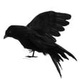 thumbnail image 1 of Pájaro simulado de Halloween aterrador Toystoory JJ25752-00B 15cm plumas negras, 1 of 6