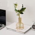 thumbnail image 4 of AMERTEER Glass Propagation Station with Metal Frame  Gold Flower Vase  Test Tube Vase for Hydroponic Plant  Small Bud Vase for Home Kitchen Office Table Top Decor，6in, 4 of 9