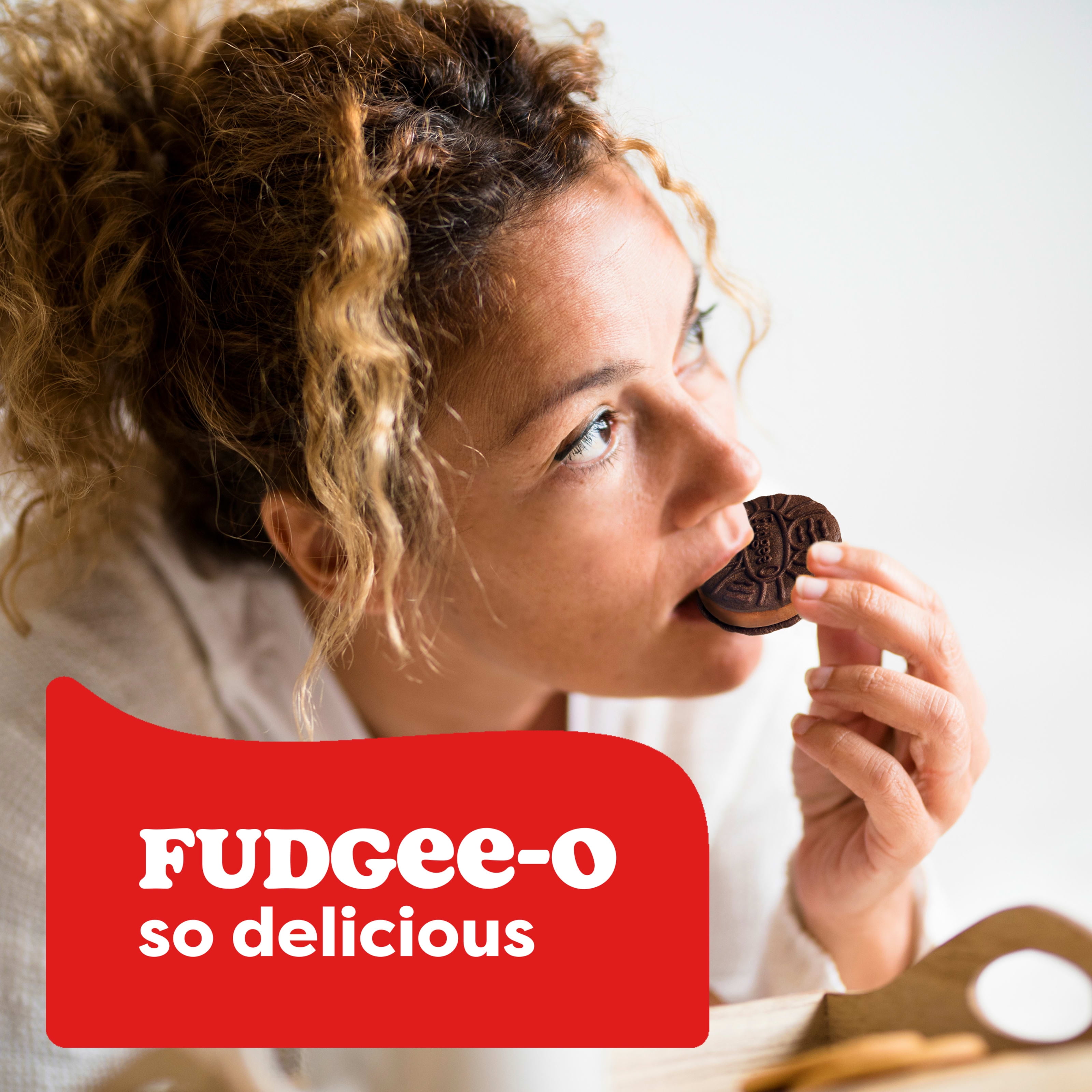 Fudgee-O Double Stuf Crème Filled Sandwich Cookies, 303 g