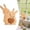 A, variant on Wooden Easter Bunny Family Puzzle, Wooden Bunny Puzzle for Home Crafts, Easter Decorations, House Warming Decor, Birthday Family Party Gifts for New Baby Easter Basket Stuffers, 2 Rabbits