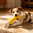 thumbnail image 2 of Felt Bone Rope Chew Toy for Dogs and Cats, Durable Non Woven Pet Toy for Interactive Training and Teeth Grinding, Soft and Fun Design, 2 of 6