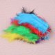 thumbnail image 4 of 100 Piezas/300 Piezas De Plumas De Colores Para Manualidades, Bodas, Decoraciones Para Fiestas En Casa ANGGREK  Otros, 4 of 8