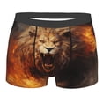 thumbnail image 4 of Goofa Cool Fire Lion Printed Men's Boxer Briefs Underwear, Moisture-Wicking Underwear, Trunk,Soft and Breathable Cotton Underwear-Large, 4 of 9