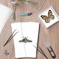 thumbnail image 1 of Kit d'Outils Spécimen, Boîte d'Affichage Léger Transparent Éducatif pour la Classe, 1 of 8
