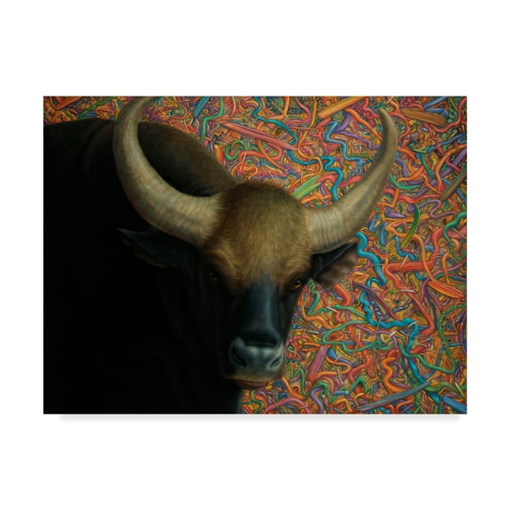 Trademark Fine Art 'Bull' Canvas Art by James W. Johnson