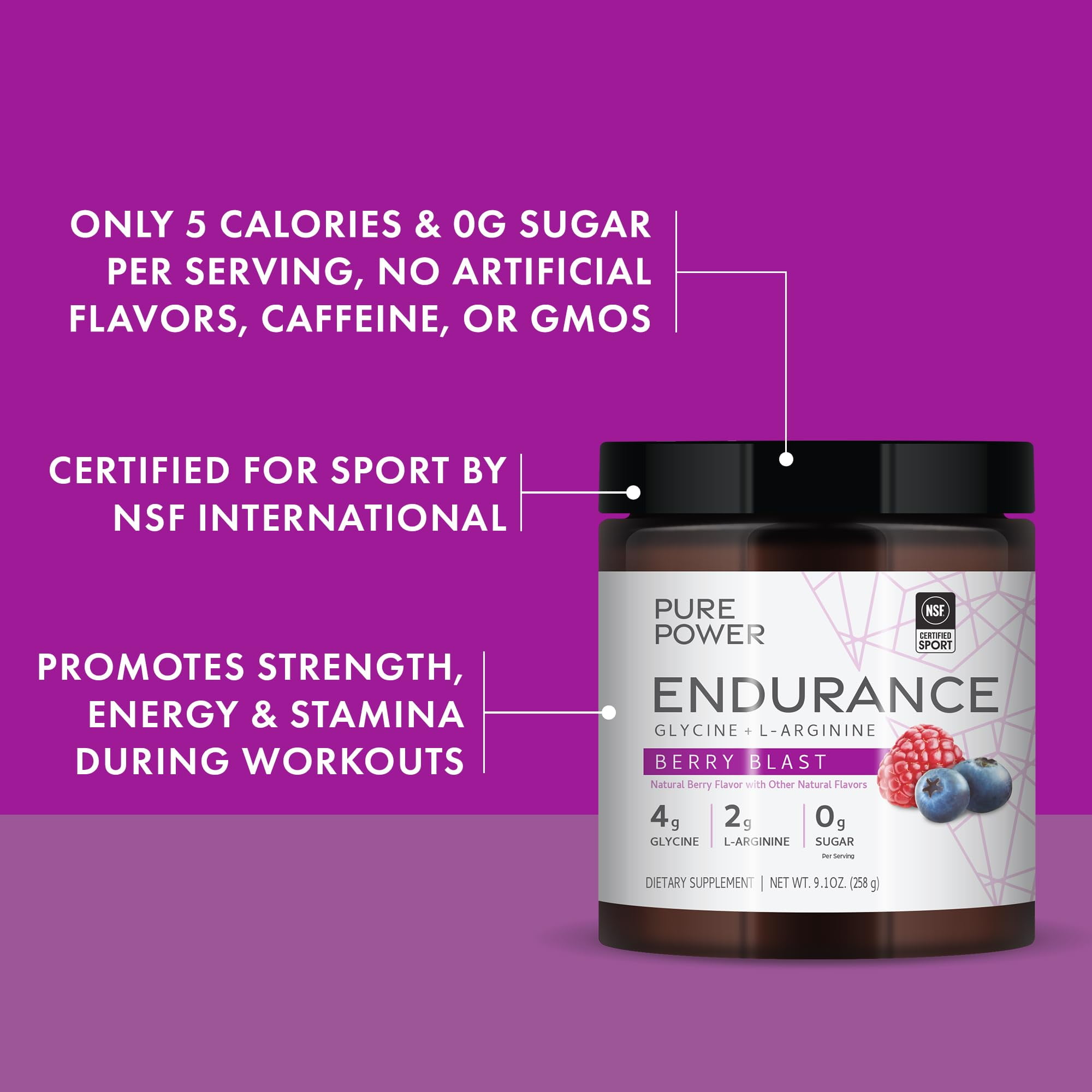 Dr. Mercola Pure Power Endurance Powder, Berry Blast Flavor, 9.1 oz (258 g), 30 Servings, 4 g of Glycine, 2 g of L-Arginine, 0 g of Sugar, Non-GMO
