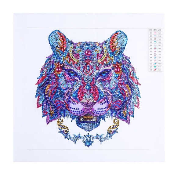 DIY Partial Painting Kit, 30x30cm Unframed Canvas with Special Shape Resin s, 2019 New Upgrade Home Decor Art Craft for Living Room Bedroom, Creative Gift for Adults, Includes