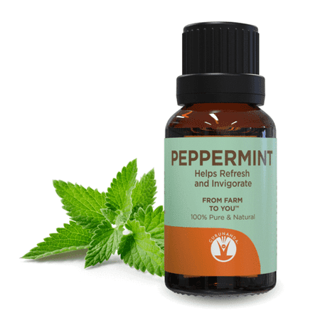 Guru Nanda Peppermint Essential Oil, 100% Pure and Natural, 15 (Best Peppermint Oil Brand)