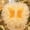 White-7A, variant on MMJ Heart Shaped Flower Arrangement Tool Bouquet Wrapping Frame for DIY Floral Design 14.57x11.02in