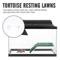 thumbnail image 4 of Shisuyan Turtle Resting Platforms Green Plastic 2Pack 5.5X3.1X1.8in, 4 of 9