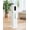 White, variant on Humidifiers for Room Bedroom, 2.1Gal/8L Humidifiers for Home, Large Room, Top Fill Whole House Cool Mist for Plants Baby, white