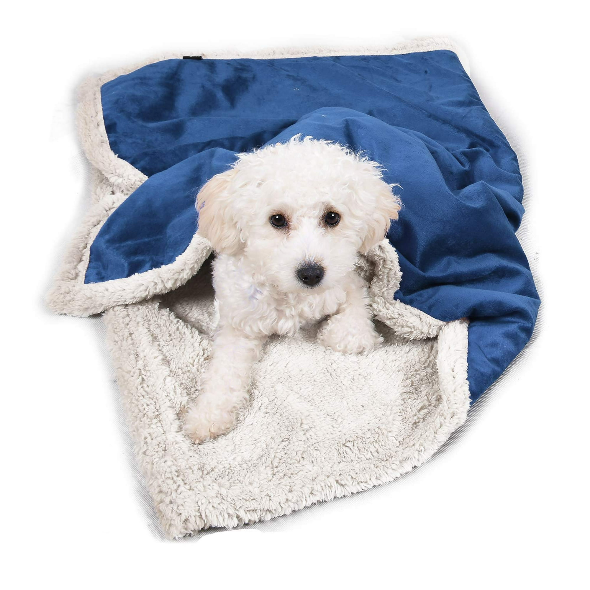 Animal planet pet bed hotsell