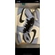 thumbnail image 2 of Size 6.5 - Jo r-dan 1 Retro OG High University Blue, 2 of 6