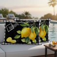 thumbnail image 5 of Summer Lemon Pillow Covers 2 Pack Country Farm Yellow Fruit Leaf Black Buffalo Plaid Pillowcase Waterproof Outdoor Throw Pillow Cover for Patio Balcony Rectangular Cushion 20”x12”, 5 of 9