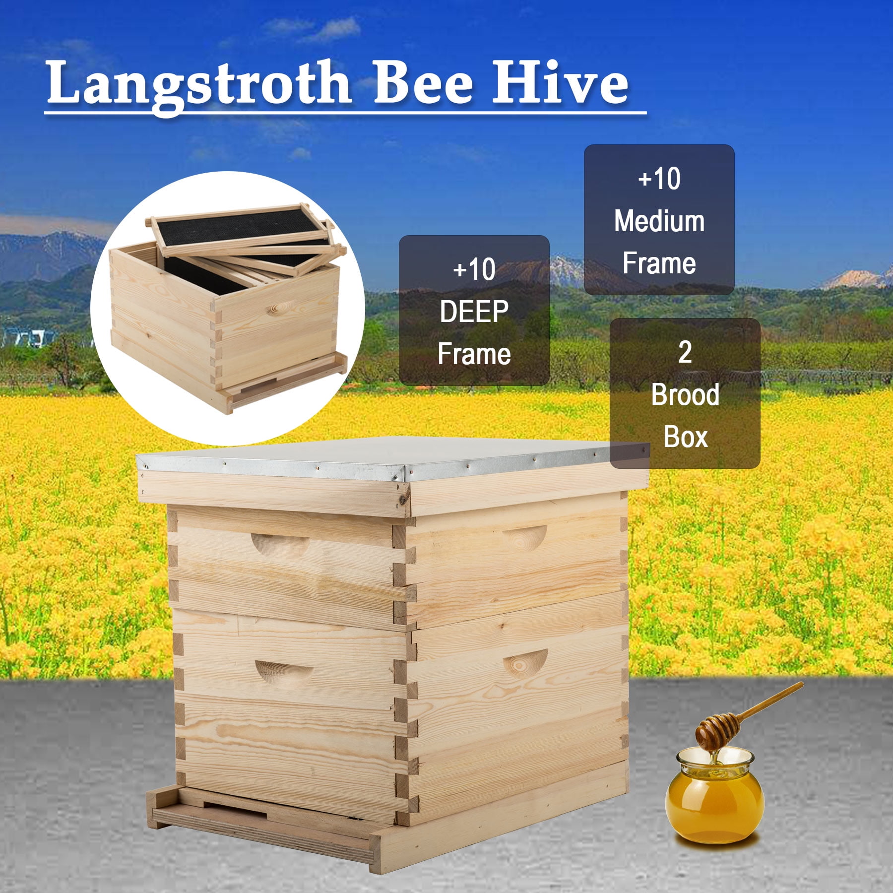 5 Brood Box10-Frame Beehive Frames //Bee Hive Frame for Beekeeping w// Metal Roof