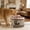 Pink, variant on VAIFTILNO 5.9in Cat Water Fountain, Automatic Filter Circulating Fountain, Power Saving Quiet Pet Water Feeder for Cats and Small Dogs, Easy Clean (More Colors)
