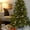 8Pcs-Gold, variant on HomeDM 6Pcs Velvet Christmas Balls Ornaments Flocked Christmas Tree Balls Hanging Pendants Shatterproof Xmas Decorative Balls 6cm/2.36in Ornaments for Wedding Party Garland Decor Red