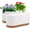White, variant on QCQHDU 2 Pack Plant Pot, Green Plastic Indoor Planter With Drainage Holes And Removable Base