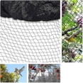 thumbnail image 1 of Red de protección para pájaros de 15 m x 15 m, para plantas, estanques y jardines, con agujeros grandes de 5 x 5 cm, Lucky_B, 1 of 5