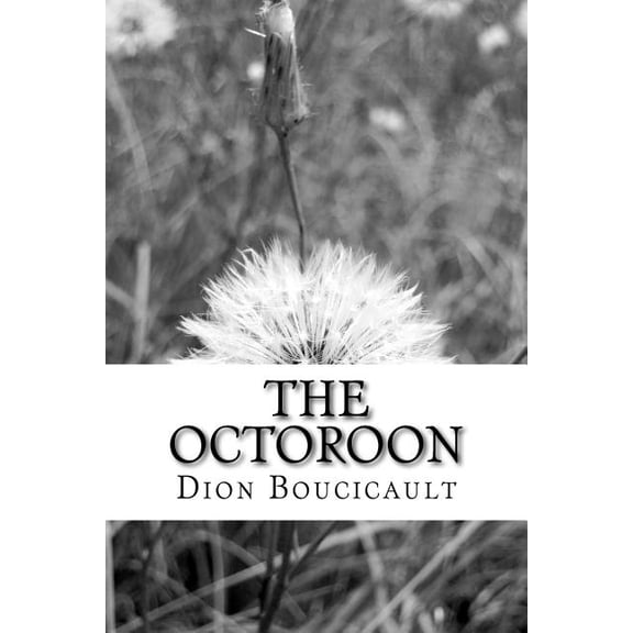 The Octoroon (Paperback)