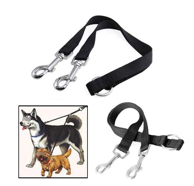 y leash for dogs
