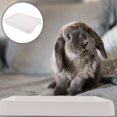 thumbnail image 4 of Bamboohart Bunny Cage Hamster Toilet  Training Box Odor Control Litter, 4 of 8