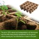 thumbnail image 2 of Paquete De 8 Bandejas De Iniciación De Semillas, 16 Celdas, Maceta De Plántulas, Contenedor De Cultivo De Plantas Multifuncional, Maceta De Jardín Para Plántulas De Granjero Kearding HA027582-02, 2 of 7