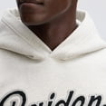 thumbnail image 4 of Fanatics Oatmeal Las Vegas Raiders IconicFleece Tipped Hoodie, 4 of 7