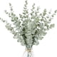 thumbnail image 2 of 5/10 piezas de tallos de eucalipto, hojas de eucalipto artificiales para el hogar, habitación, ramo de flores, decoración de boda, decoración navideña, 2 of 5